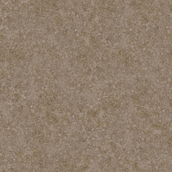 エミネンスタイル2025-2028 サンディ シンコール