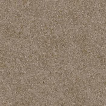 エミネンスタイル2025-2028 サンディ シンコール