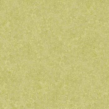 エミネンスタイル2025-2028 サンディ シンコール