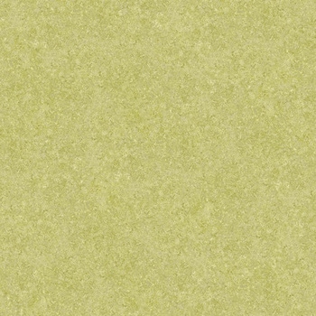 エミネンスタイル2025-2028 サンディ シンコール