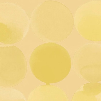 エミネンスタイル2025-2028 パンケーキ シンコール