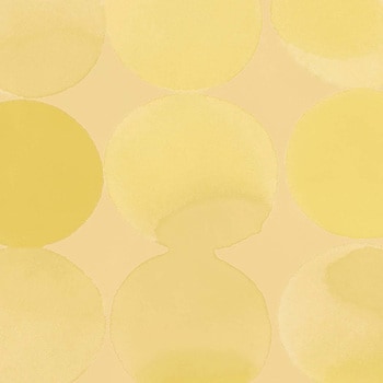 エミネンスタイル2025-2028 パンケーキ シンコール