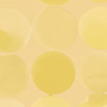 エミネンスタイル2025-2028 パンケーキ シンコール