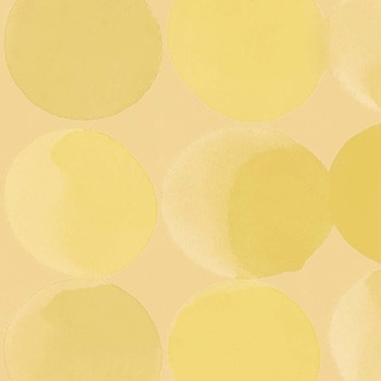 エミネンスタイル2025-2028 パンケーキ シンコール