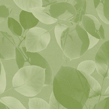 エミネンスタイル2025-2028 ヨウヨウ シンコール