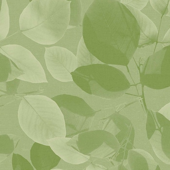 エミネンスタイル2025-2028 ヨウヨウ シンコール