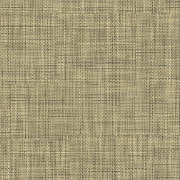 エミネンスタイル2025-2028 チャット シンコール