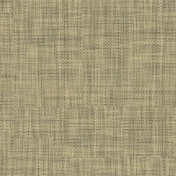 エミネンスタイル2025-2028 チャット シンコール