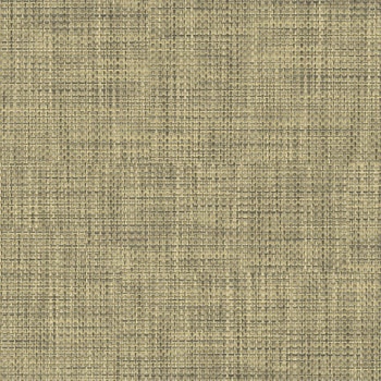 エミネンスタイル2025-2028 チャット シンコール