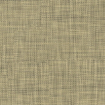 エミネンスタイル2025-2028 チャット シンコール