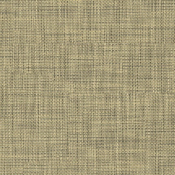 エミネンスタイル2025-2028 チャット シンコール