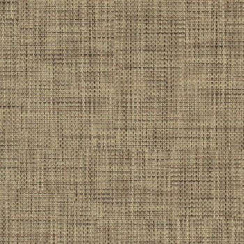 エミネンスタイル2025-2028 チャット シンコール