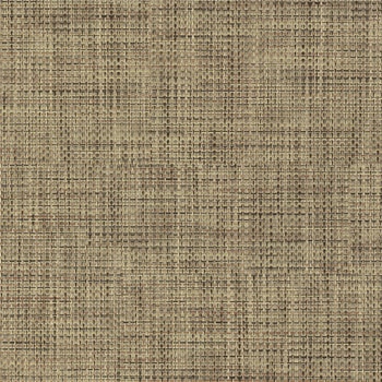 エミネンスタイル2025-2028 チャット シンコール