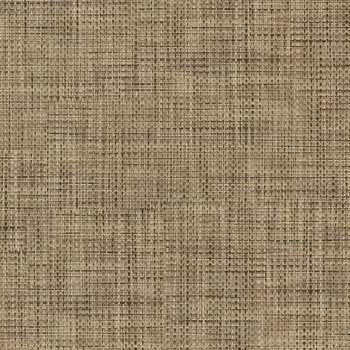 エミネンスタイル2025-2028 チャット シンコール