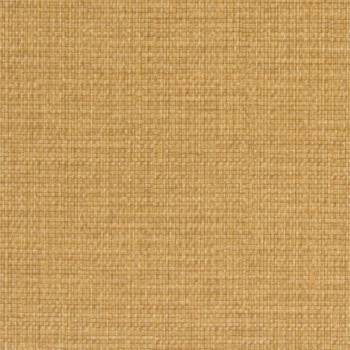 エミネンスタイル2025-2028 バンブーケインフロア シンコール