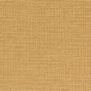 エミネンスタイル2025-2028 バンブーケインフロア シンコール