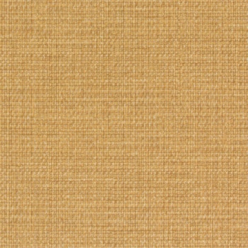 エミネンスタイル2025-2028 バンブーケインフロア シンコール