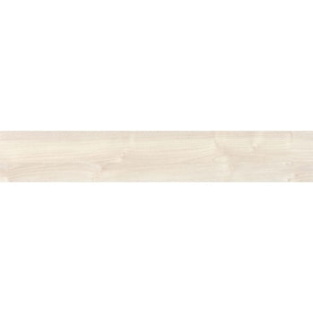 エミネンスタイル2025-2028 アッシュ シンコール