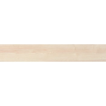 エミネンスタイル2025-2028 アッシュ シンコール