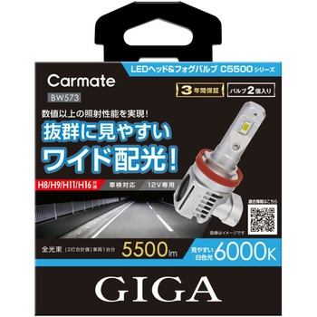 LEDヘッド&フォグバルブ カーメイト