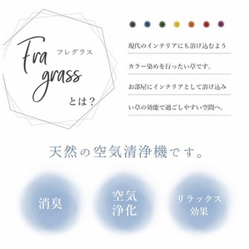 フレグラス 飾り 消臭剤 おしゃれ リビングインテリア 2本入 イケヒコ・コーポレーション