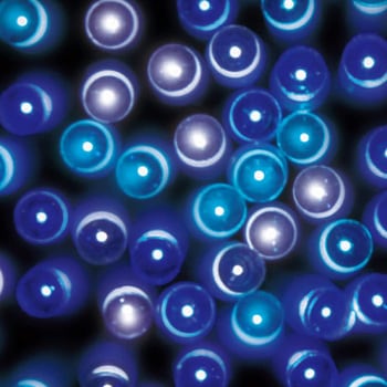 冬装飾 クリスマスツリー飾り イルミネーション LEDトレートライト(連結可) ストア・エキスプレス