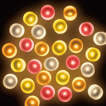 冬装飾 クリスマスツリー飾り イルミネーション LED100球 ストレートライト(連結可) ストア・エキスプレス