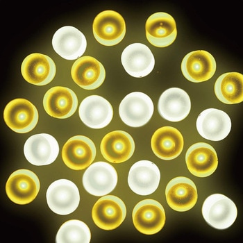 冬装飾 クリスマスツリー飾り イルミネーション LED100球 ストレートライト(連結可) ストア・エキスプレス