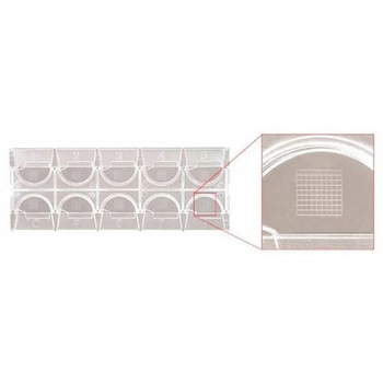 22-270141 KOVA(TM) Glasstic(TM) 1個 Thermo Fisher Scientific 22-270141 KOVA(TM) Glasstic(TM) 1個 Thermo Fisher Scientific