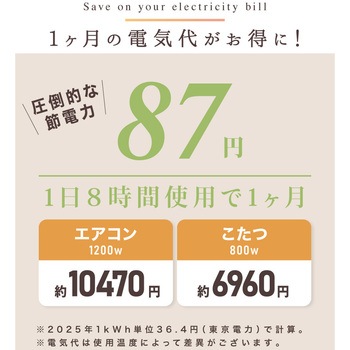 湯たんぽ型 グラフェン クッションウォーマー(バッテリー付) 大河商事