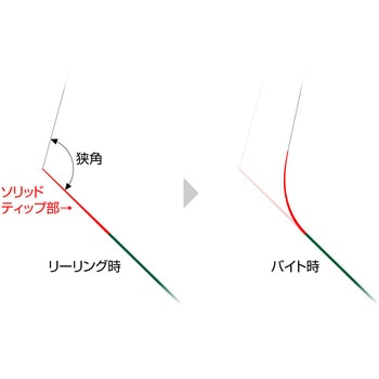 アルチザン・コンペティション EverGreen INTERNATIONAL