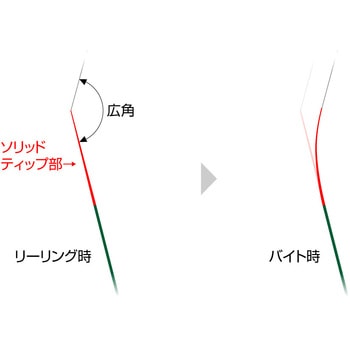 アルチザン・コンペティション EverGreen INTERNATIONAL