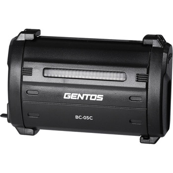 GT-05SB専用充電器 Type-C GENTOS