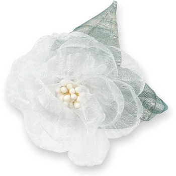 118867 �R�T�[�W�� ���[�X�t�����[ �A�[�e�b�N[�w�Z���ށE����ߋ�] ���@��60�~55mm 1�� 66525780