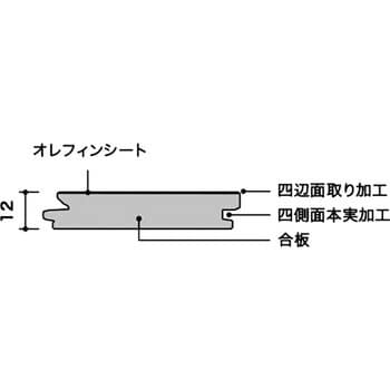 HAS2A903E アネックスサニタリー455 1箱(2枚) 朝日ウッドテック 【通販