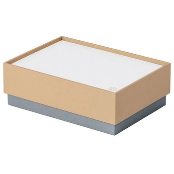 ココバコ/お道具箱タイプ/ベージュ ナカバヤシ