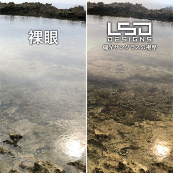 フィッシングルーペDフライマン L.S.D. DESIGNS