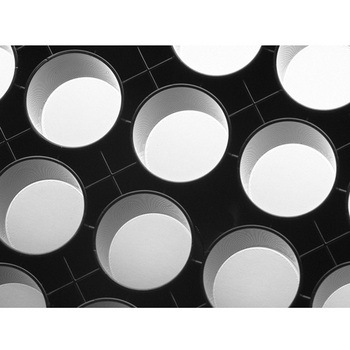 Elplasia プレート クリアボトムプレート黒 コーニング