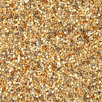 エクセル セキセイインコ 皮付き NPF