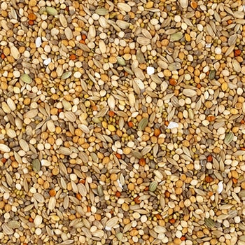 - エクセル 文鳥 皮付き NPF 66682361