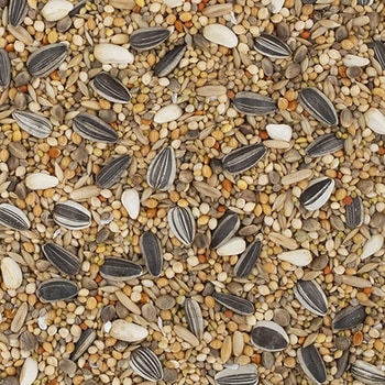 エクセル 中型インコ 皮付き NPF