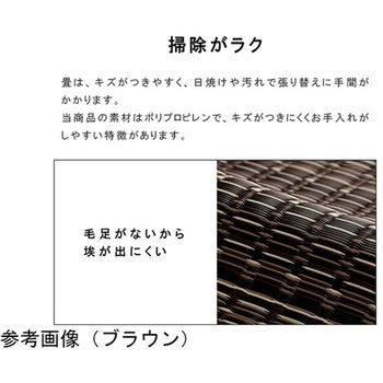 洗える カーペット ラグ 国産 除菌スプレー対応 アウトドア ペット イケヒコ・コーポレーション