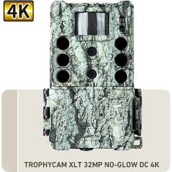 トロフィーカムXLT32MP・ノーグロウDC4K 阪神交易