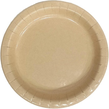 竹パルプペーパープレート 22cm ペーパーウェア