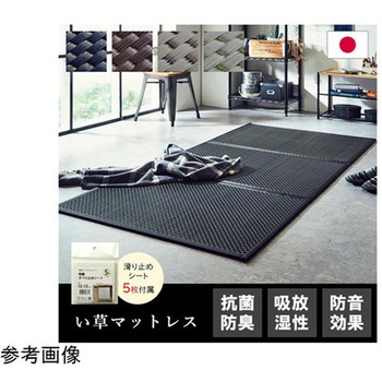 マットレス 三つ折り カビ防止 置き畳 軽量 こたつ敷 フロアマット イケヒコ・コーポレーション