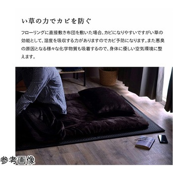 マットレス 三つ折り カビ防止 置き畳 軽量 こたつ敷 フロアマット イケヒコ・コーポレーション