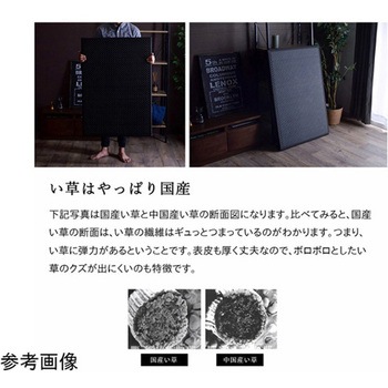 マットレス 三つ折り カビ防止 置き畳 軽量 こたつ敷 フロアマット イケヒコ・コーポレーション