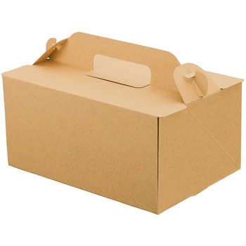 105 OPL パッケージ中澤