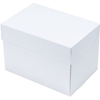 CP 105 パッケージ中澤