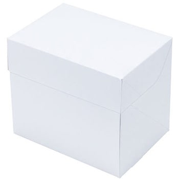 A70120 CP 105 pbP[WV 66703020